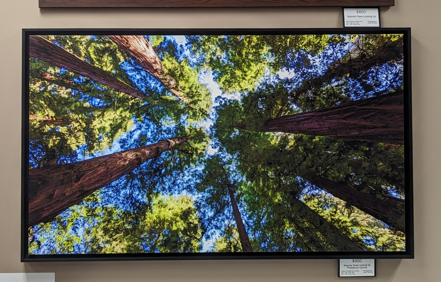 Sequoia Trees framed PhotoBrush canvas