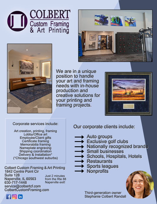 Professional Solutions for Businesses, Schools, and Organizations