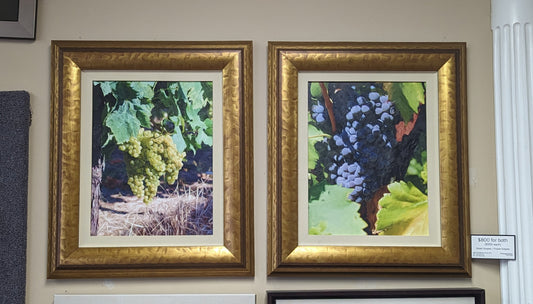Green Grapes / Purple Grapes framed canvases