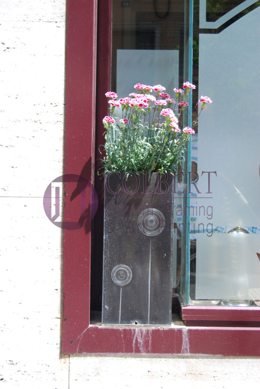 FraChartres window flowers - frachartres-window-flowers
