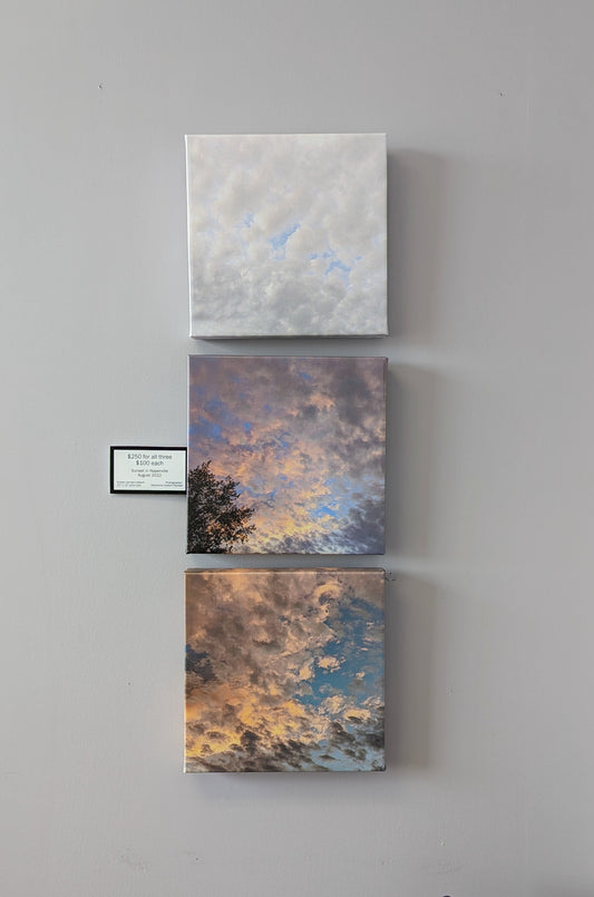 Sunset in Naperville metallic canvas triptych